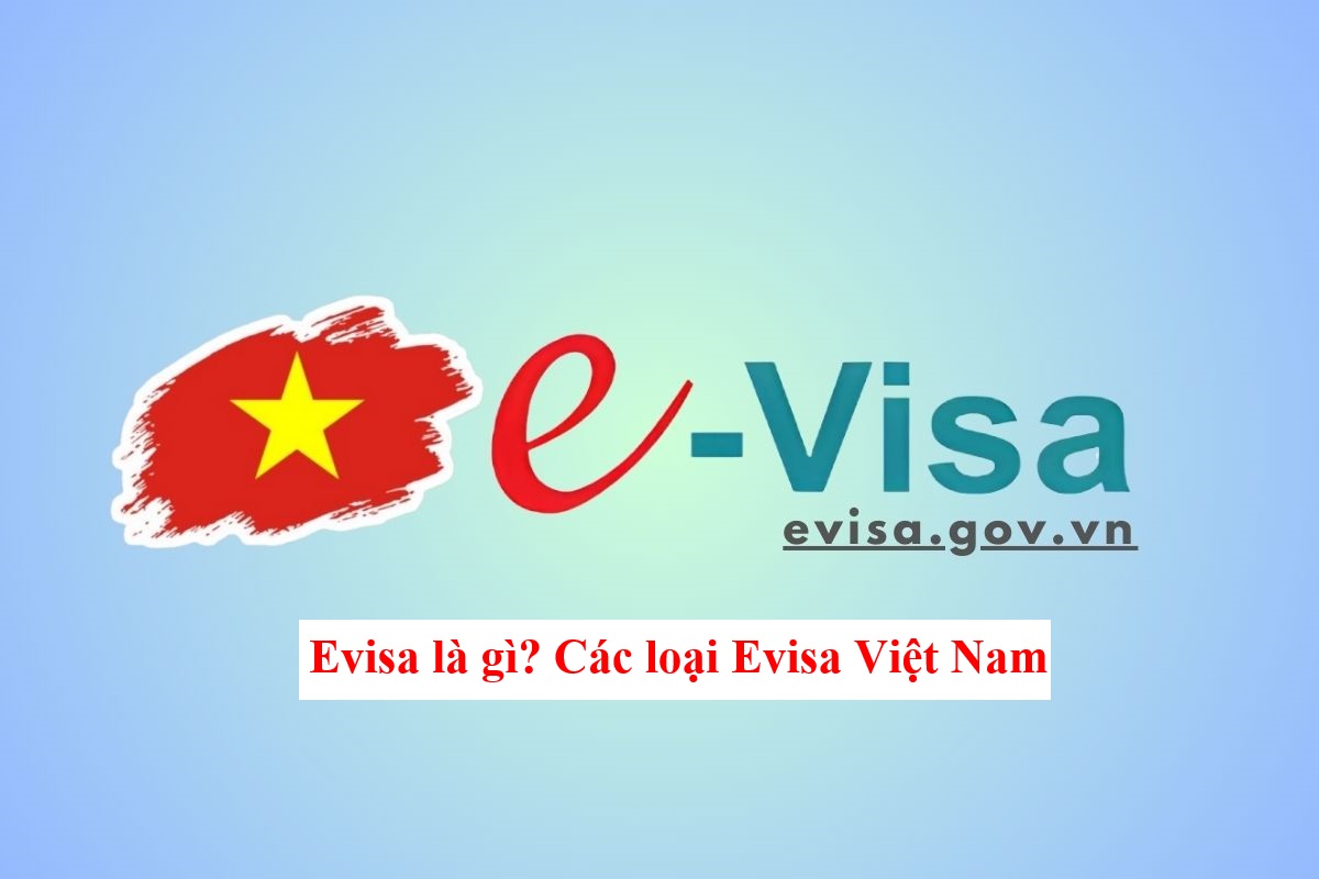 Evisa là gì? Các loại Evisa Việt Nam